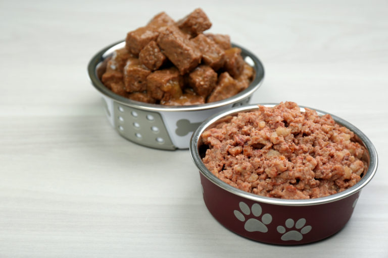 Your Dog’s Diet:  Canned Dog Food vs. Dry Kibble