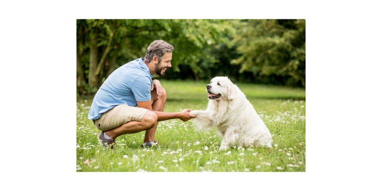 Training your dog the reward training way