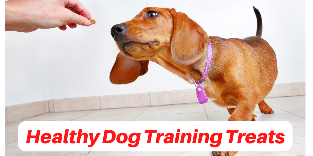 Healthy Dog Training Treats