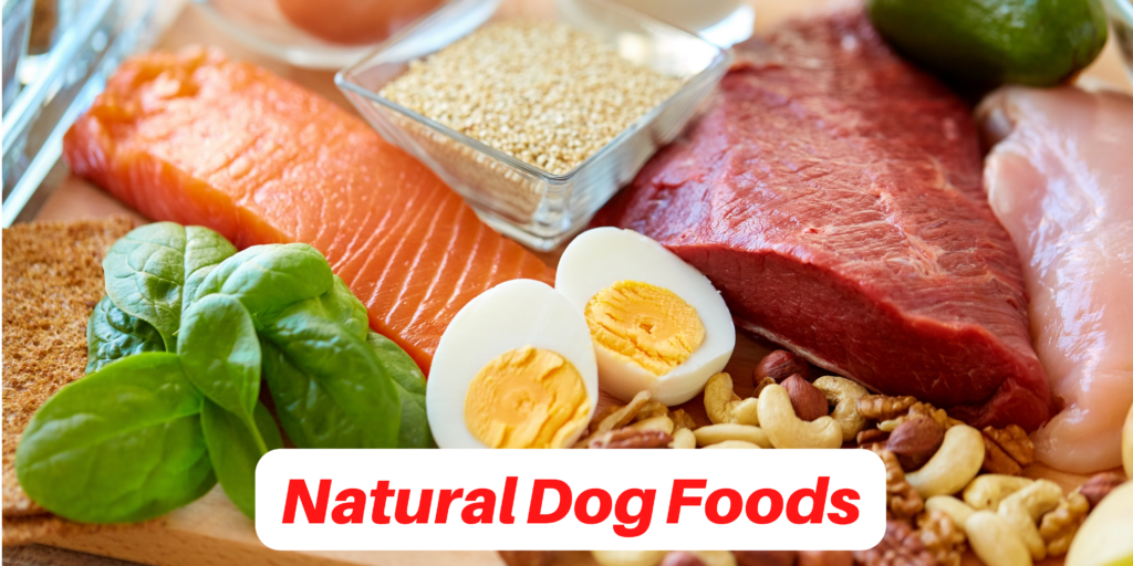 Natural Dog Food